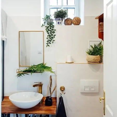 Apartament Aussee- Beletage Salzherrenhof- Kueche, Wlan, Netflix Bad Aussee