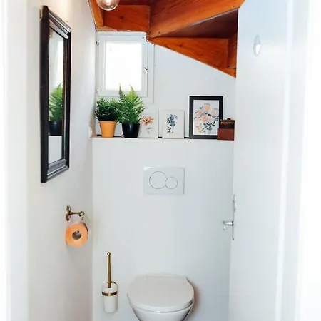 Aussee- Beletage Salzherrenhof- Kueche, Wlan, Netflix Bad Aussee