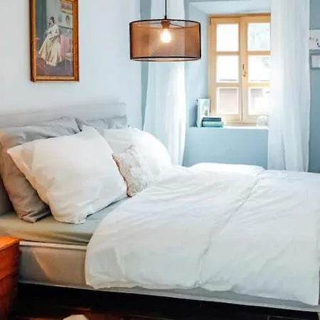 Apartment Aussee- Beletage Salzherrenhof- Kueche, Wlan, Netflix *