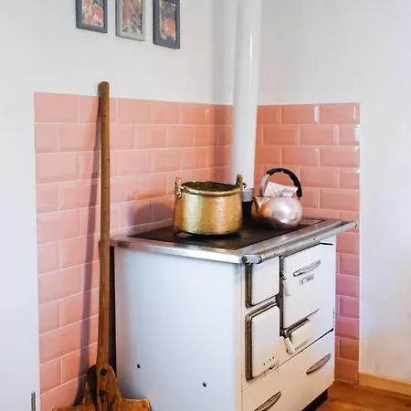 Apartament Aussee- Beletage Salzherrenhof- Kueche, Wlan, Netflix