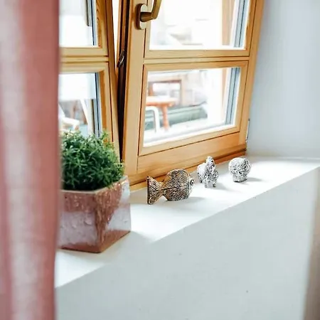 Aussee- Beletage Salzherrenhof- Kueche, Wlan, Netflix Apartament