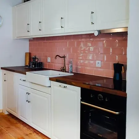 Aussee- Beletage Salzherrenhof- Kueche, Wlan, Netflix Appartement Bad Aussee