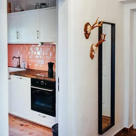 Aussee- Beletage Salzherrenhof- Kueche, Wlan, Netflix Appartement *