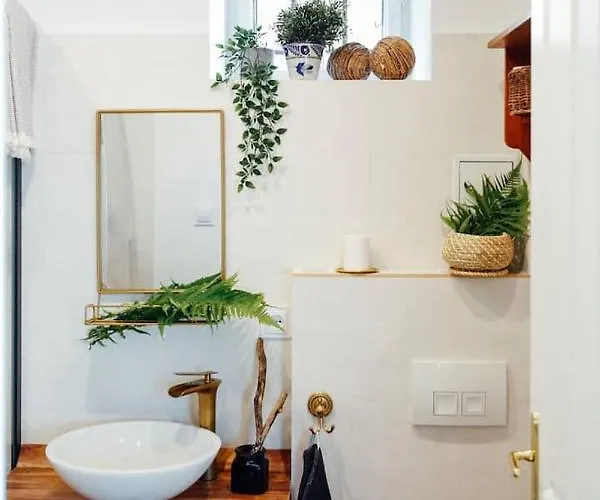 Apartman Aussee- Beletage Salzherrenhof- Kueche, Wlan, Netflix Bad Aussee