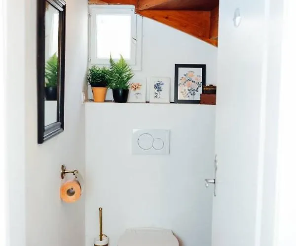 Aussee- Beletage Salzherrenhof- Kueche, Wlan, Netflix Bad Aussee