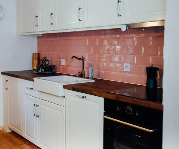 Aussee- Beletage Salzherrenhof- Kueche, Wlan, Netflix Apartman Bad Aussee