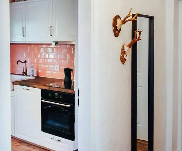 Aussee- Beletage Salzherrenhof- Kueche, Wlan, Netflix Apartman *