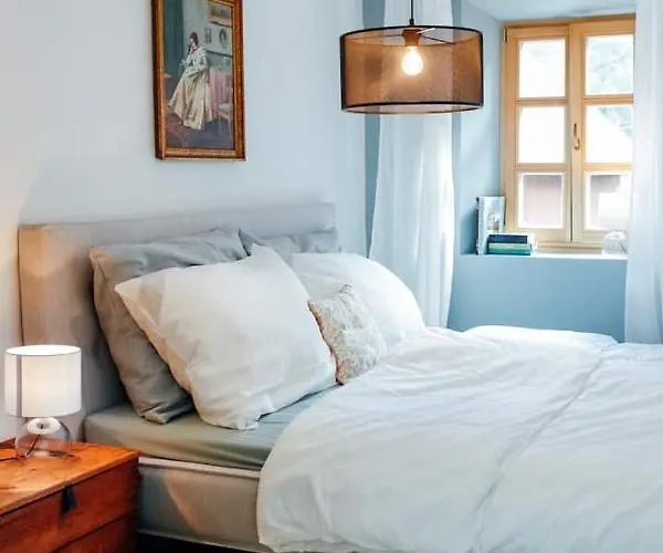 Aussee- Beletage Salzherrenhof- Kueche, Wlan, Netflix 公寓 *